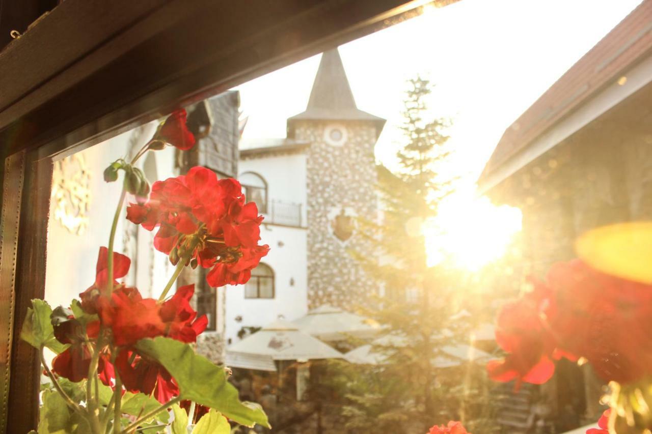 Hunter Prince Castle Hotel Turda Exterior photo